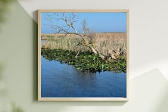 provide the beauty of nature through my own lens