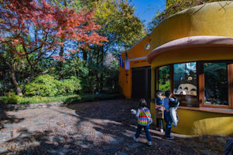 help you get guaranteed ghibli museum entry tickets