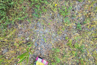 help clean and beautify the environment for a greener future