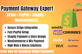 stripe integration,payment gateway,shopify payment,paypal integration,mvp,klarna