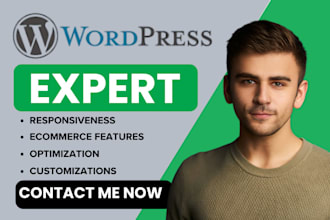 do wordpress analysis audit maintenance wordpress online tutor consultant help