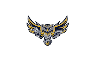 design powerful owl school logo