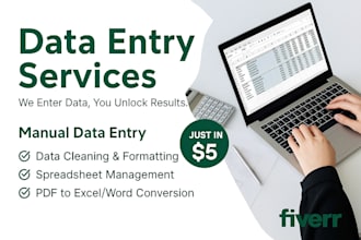 do accurate excel data entry, cleaning, formatting, merging, splitting and chart