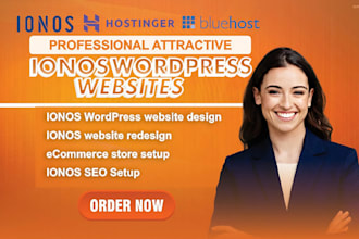 design redesign a stunning wordpress website on ionos with SEO responsive design
