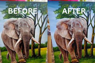 retouch and enhance photos