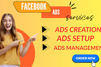 set up and optimize your facebook ads for maximum ROI