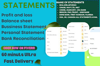do bank reconciliation, paystubs, check stub, balance sheet and cash flow
