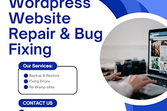 repair your wordpress website