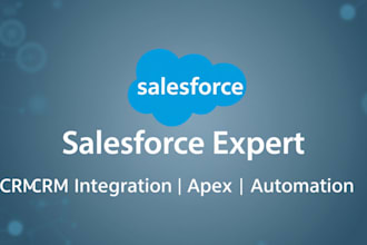be your salesforce developer, consultant, and administrator