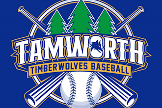 design modern baseball logo