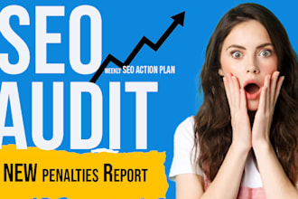 do professional SEO audit report