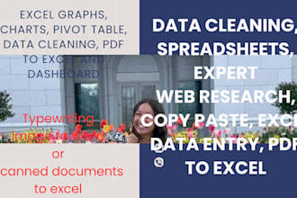 help in microsoft excel data cleaning, spreadsheets, expert convert pdf to excel