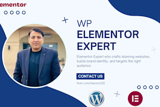wordpress website design with elementor pro expert