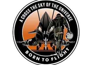 design professional aviation logo in illustrator