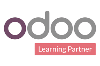 set up a customized odoo erp system with seamless cpabooks integration