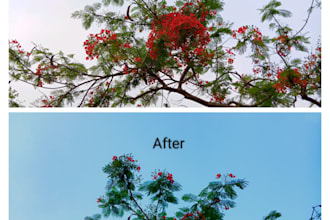 professionally edit your photos using adobe lightroom