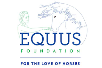 design corporate stand out logo for the love of horses