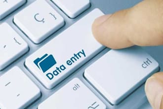 do data entry, english and urdu typing professionally