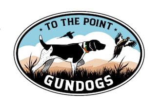 create a creative dog training logo design in short time