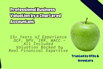 do professional business valuation using dcf and investment metrics