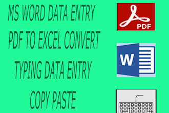 be your best operator on data entry, excel assistant, and file conversion