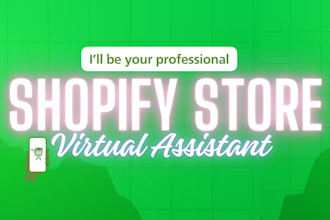 shopify store virtual assistant sales marketing manager redesign shopify design