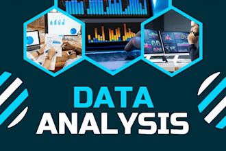 do data analysis, excel data cleaning and data visualization