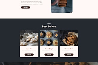 develop a professional wordpress website or custom template