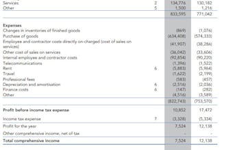 prepare balance sheet, profit and loss and financial projections