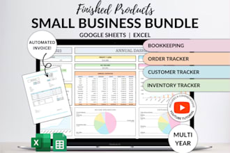 provide investor ready financial projections, forecast and financial model