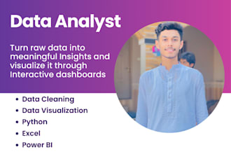 be your data analyst and build dashboards using excel and power bi