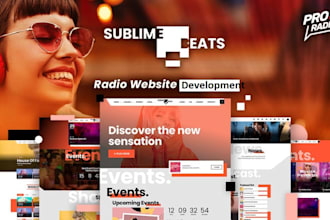 build music website for online radio stations, djs labels, artists in wordpress