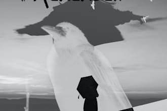 do photo editing, video editing, photoshop, and simple animations