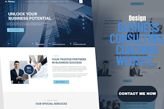 build a professional business consulting website, consulting website, coaching
