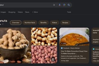 design a responsive groundnut website