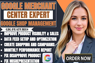 setup and manage google merchant center and shopping ads for ecommerce