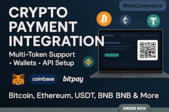 transfer ecommerce store website to accept crypto token payment gateway