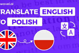 polish to english translation