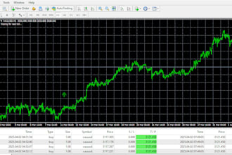 build a custom automation tools for metatrader 4 or 5