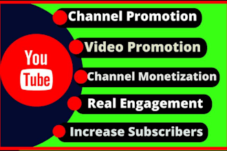 do youtube channel promotion via google ads for organic views,subs and monetize