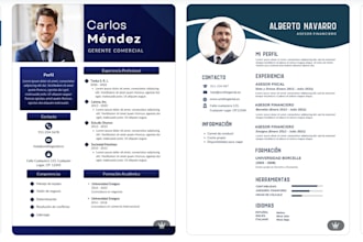 translate your CV from italian to english or spanish professionally