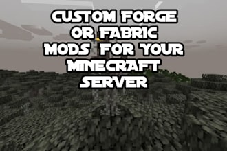 develop custom forge or fabric mods for your minecraft server