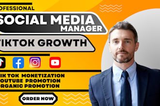do organic promotion to grow tiktok, instagram, youtube, and tiktok monetization