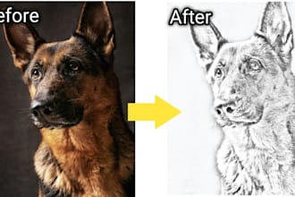 do pencil sketch drawing in just a few hours