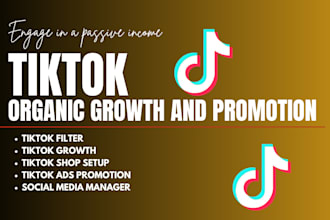 do an ideal promotion to grow and promote your tiktok account organically