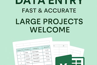 be your reliable excel data entry and virtual assistant for a large project