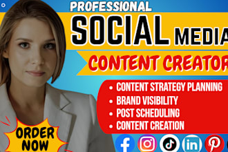 be your social media content creator plan, create, and post high quality content