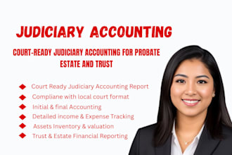 do judicial accountings for court probate legal and litigation purposes