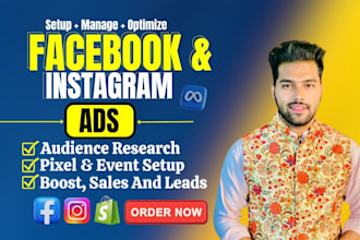 set up and manage facebook and instagram ads for leads and sales