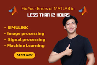 fix your matlab code errors in 12 hours or less, guaranteed